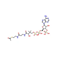 CAS 102029-73-2 |Acetyl-Coenzym-A-Natriumsalz